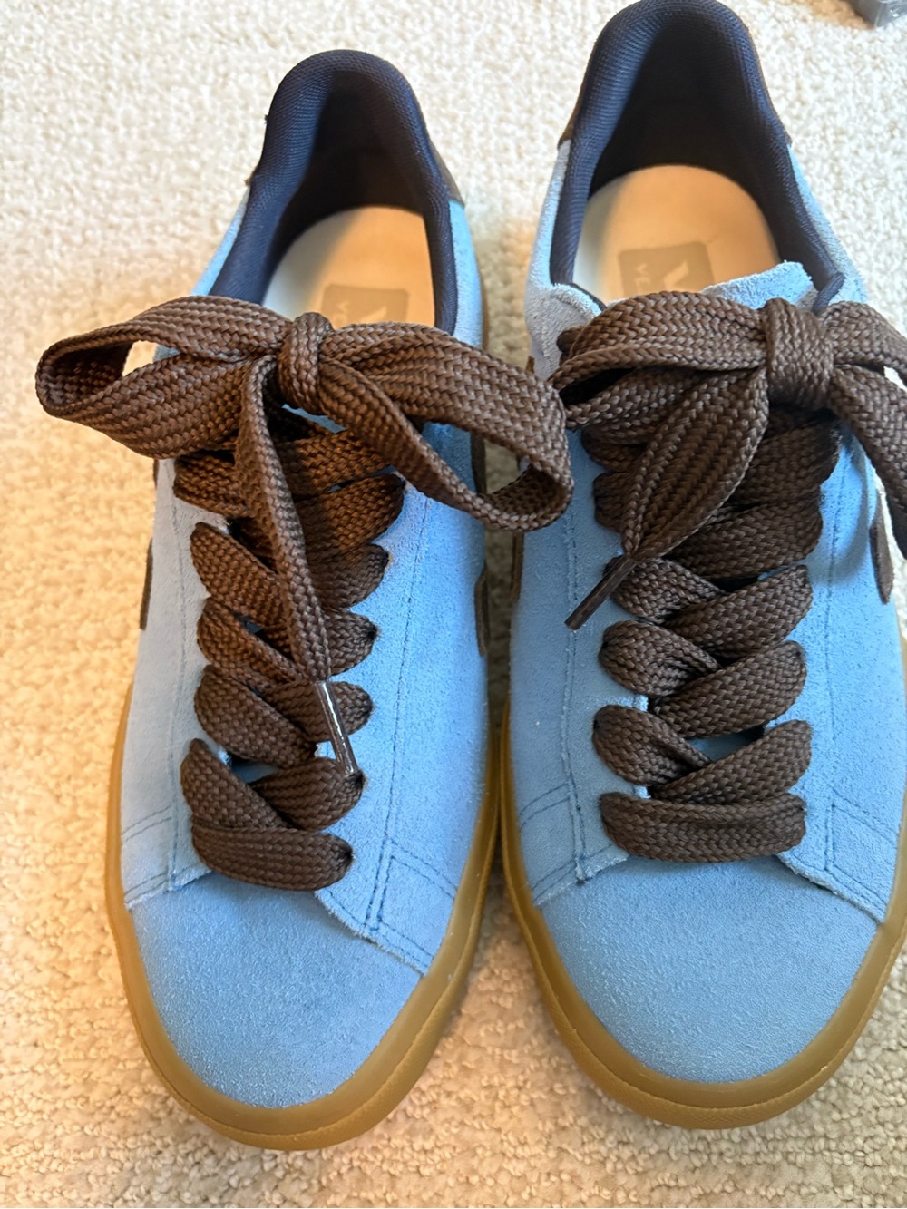 Veja Light Blue and Brown Sneakers